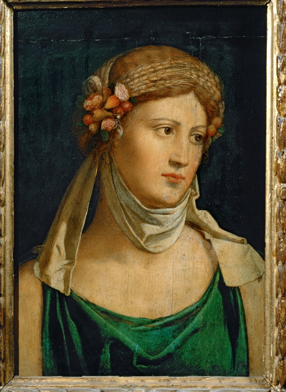  door Baldassarre Peruzzi