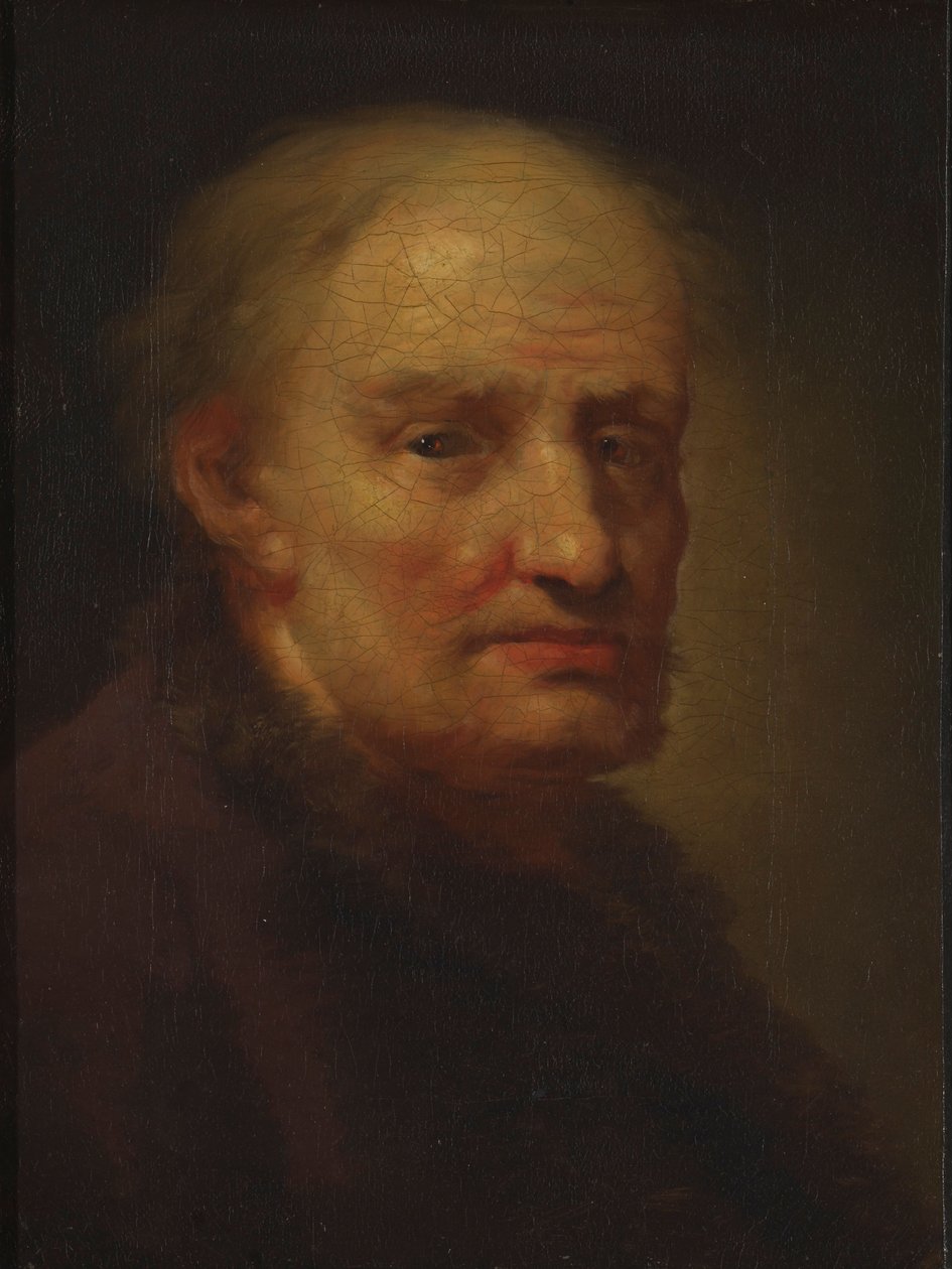 Kop van een oude man door Balthasar Denner