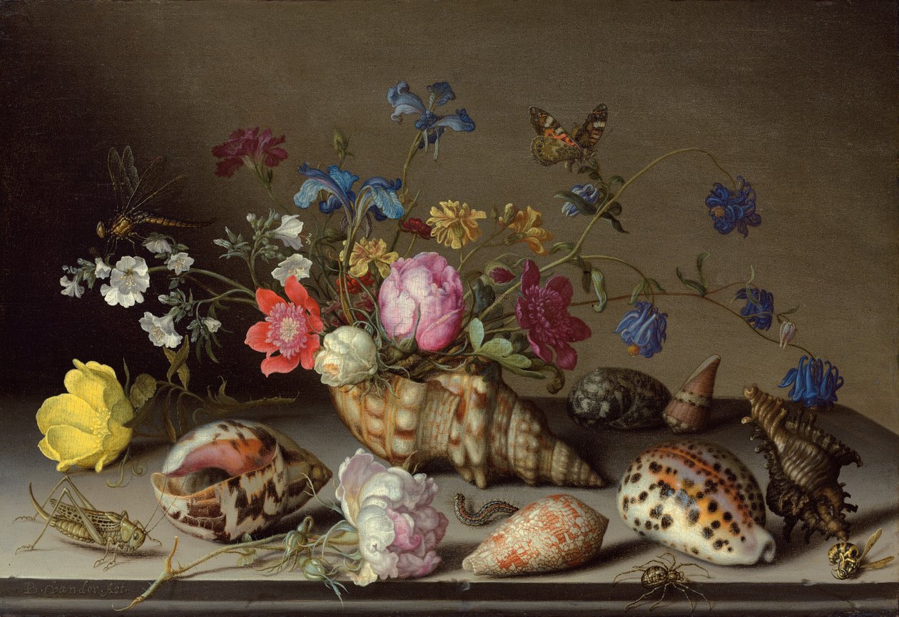 Bloemen, schelpen en insecten op een stenen richel door Balthasar van der Ast
