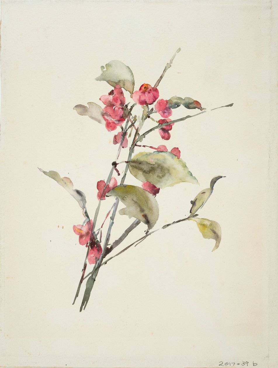 Roze bloemen door Barbara Leigh Smith Bodichon