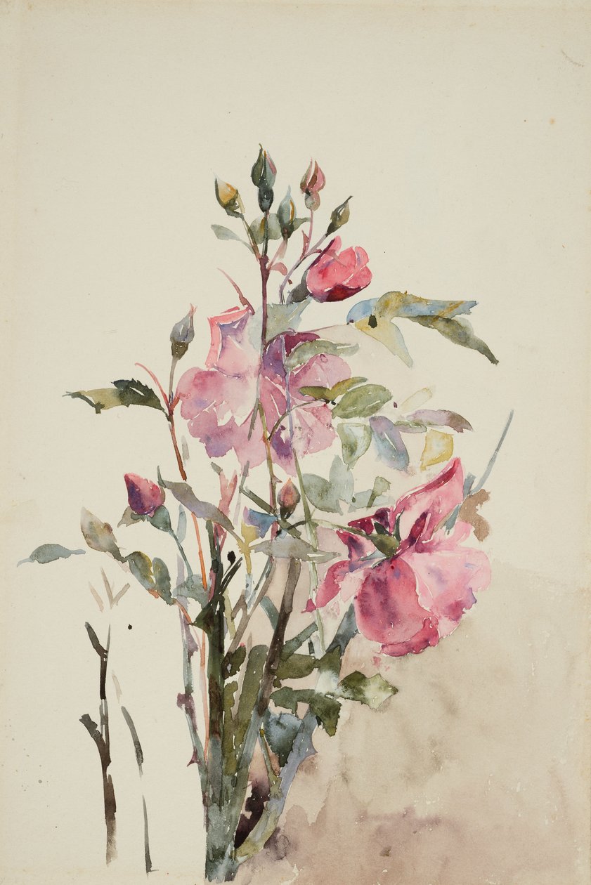 Roze bloemstelen door Barbara Leigh Smith Bodichon