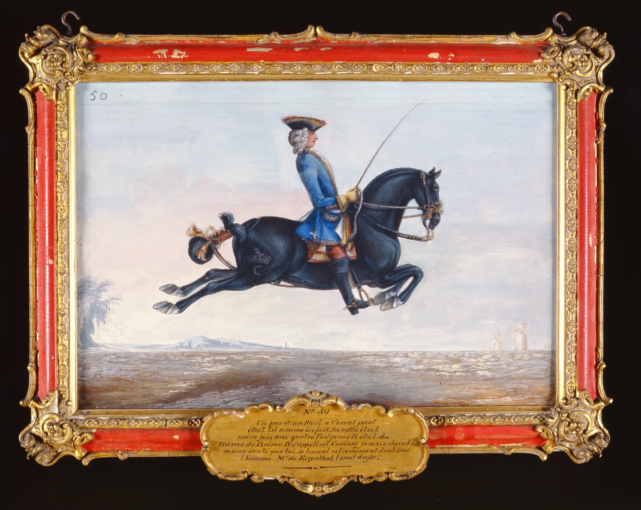 Nr. 50 Een gitzwart paard genaamd Curioso dat een dressuurbeweging genaamd de Capriole uitvoert door Baron Reis Eisenberg