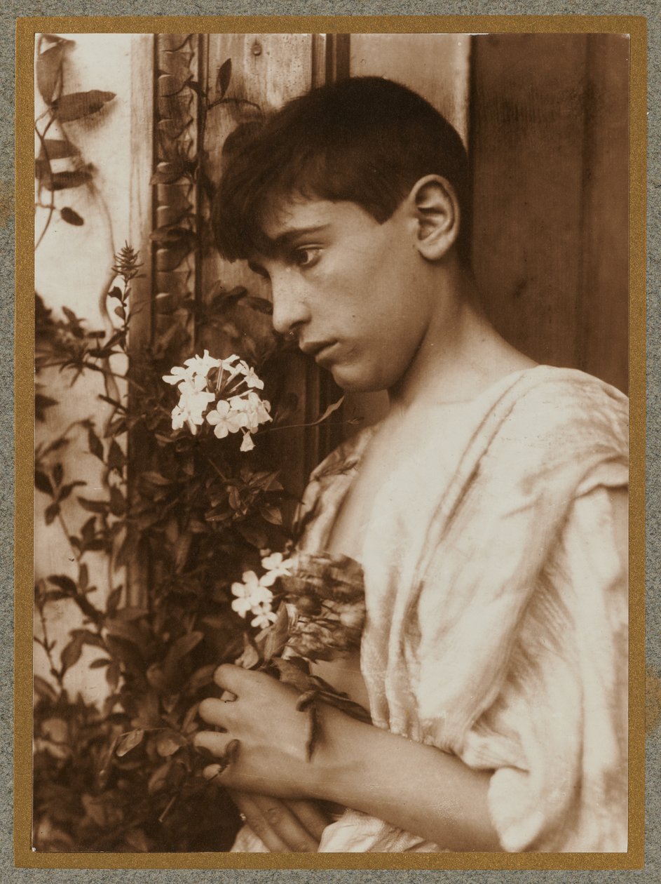 Siciliaanse jongen door Baron Wilhelm von Gloeden