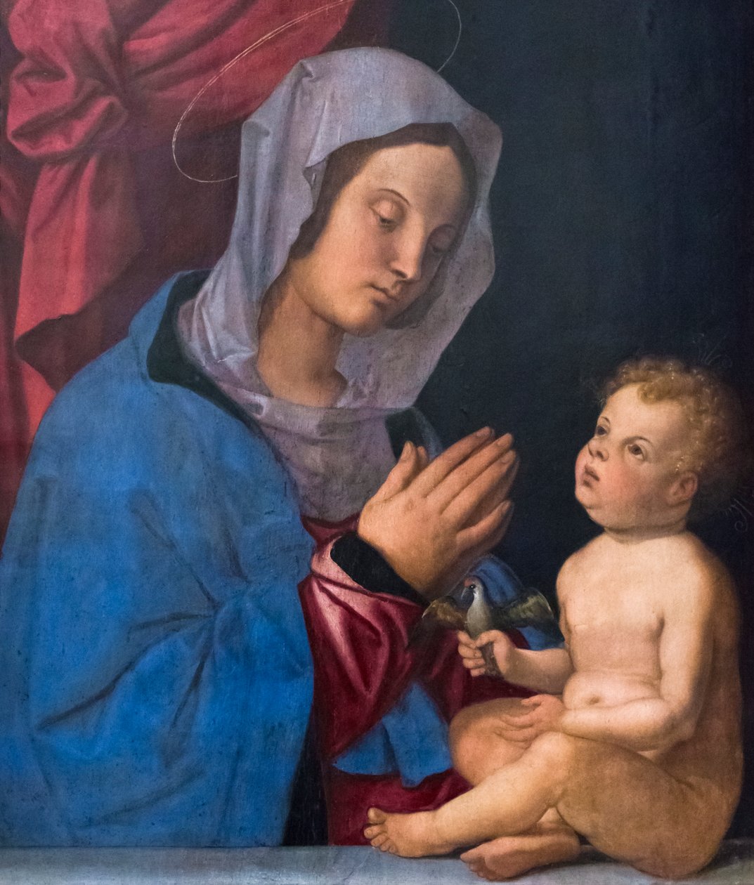 Madonna en kind, ca. 1503 door Bartolomeo Montagna