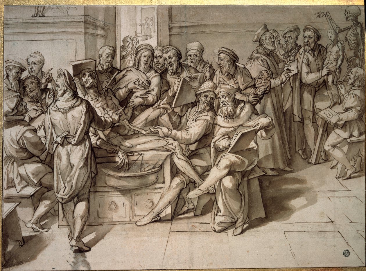 Anatomische les gegeven door Michelangelo Buonarroti, ook bekend als Michelangelo door Bartolomeo Passarotti