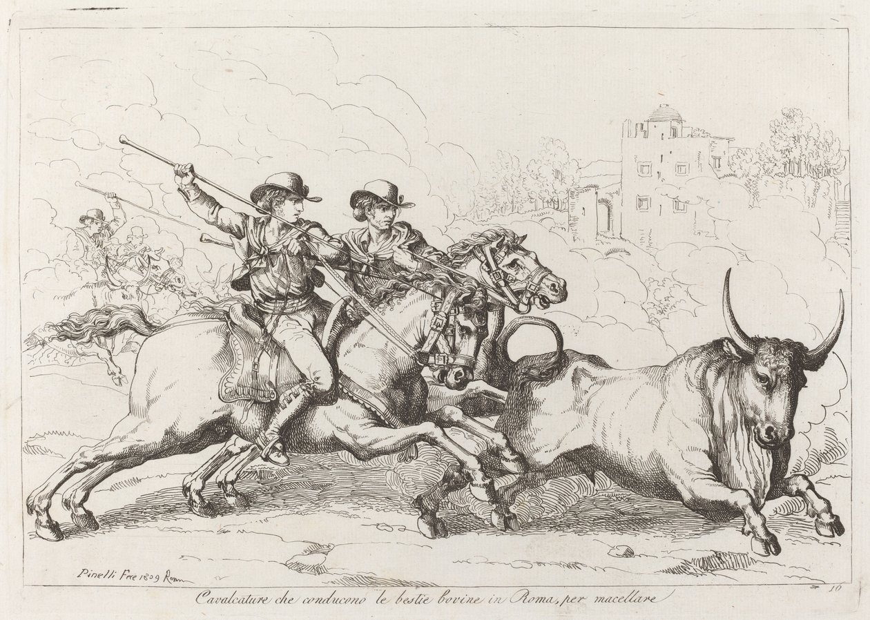 Cavalcature che conducono le bestie bovine in Roma, per macellare (Plate 16) door Bartolomeo Pinelli