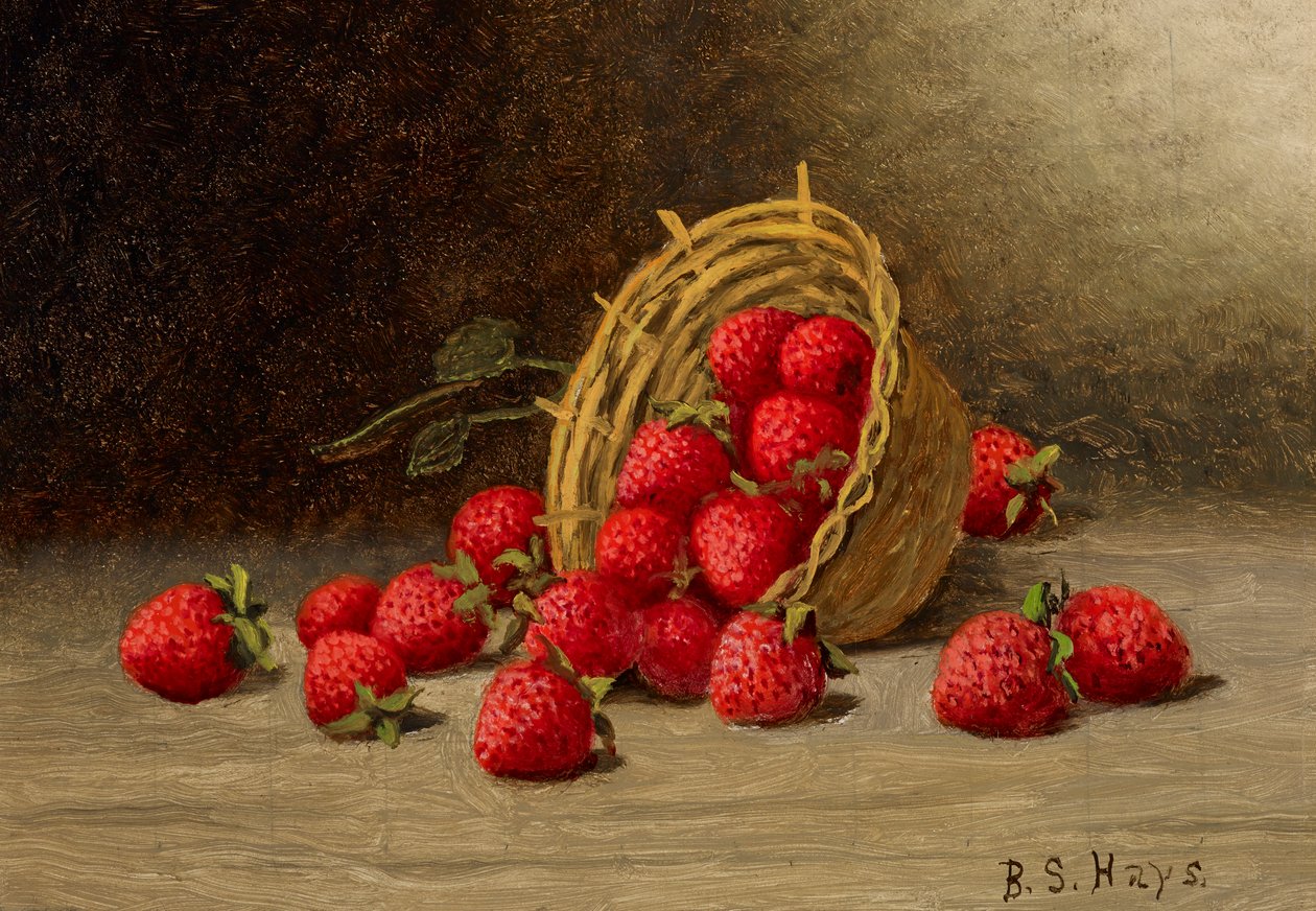 Aardbeien door Barton S. Hays