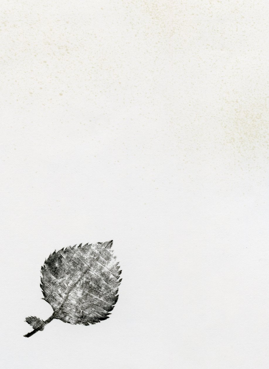 Blad {Fay-erie Stof}, 2014 door Bella Larsson