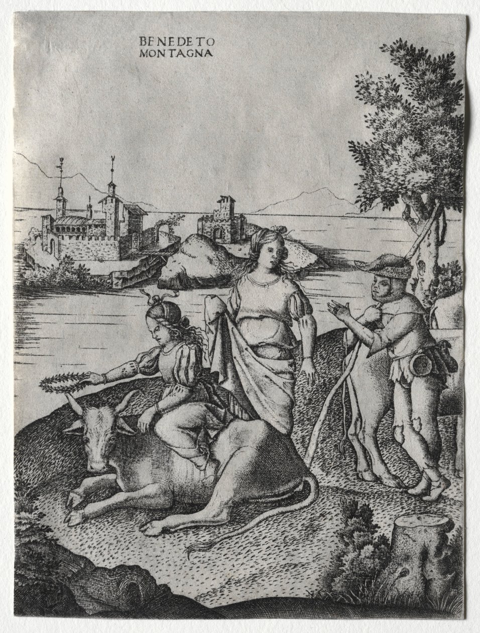 De verkrachting van Europa, c. 1515-1520 door Benedetto Montagna
