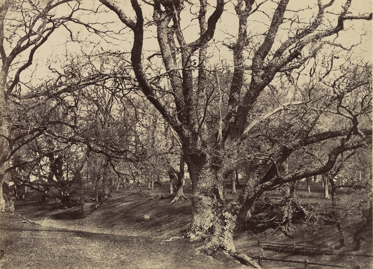 Pepperharrow Park, Surrey, 1852-54 door Benjamin Brecknell Turner