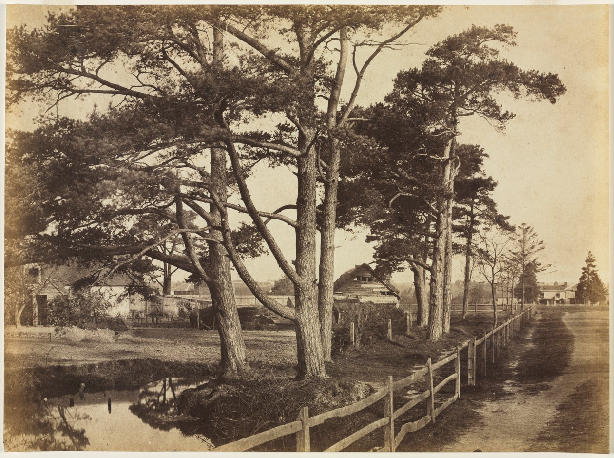 Schotse Dennen, Hawkhurst door Benjamin Brecknell Turner