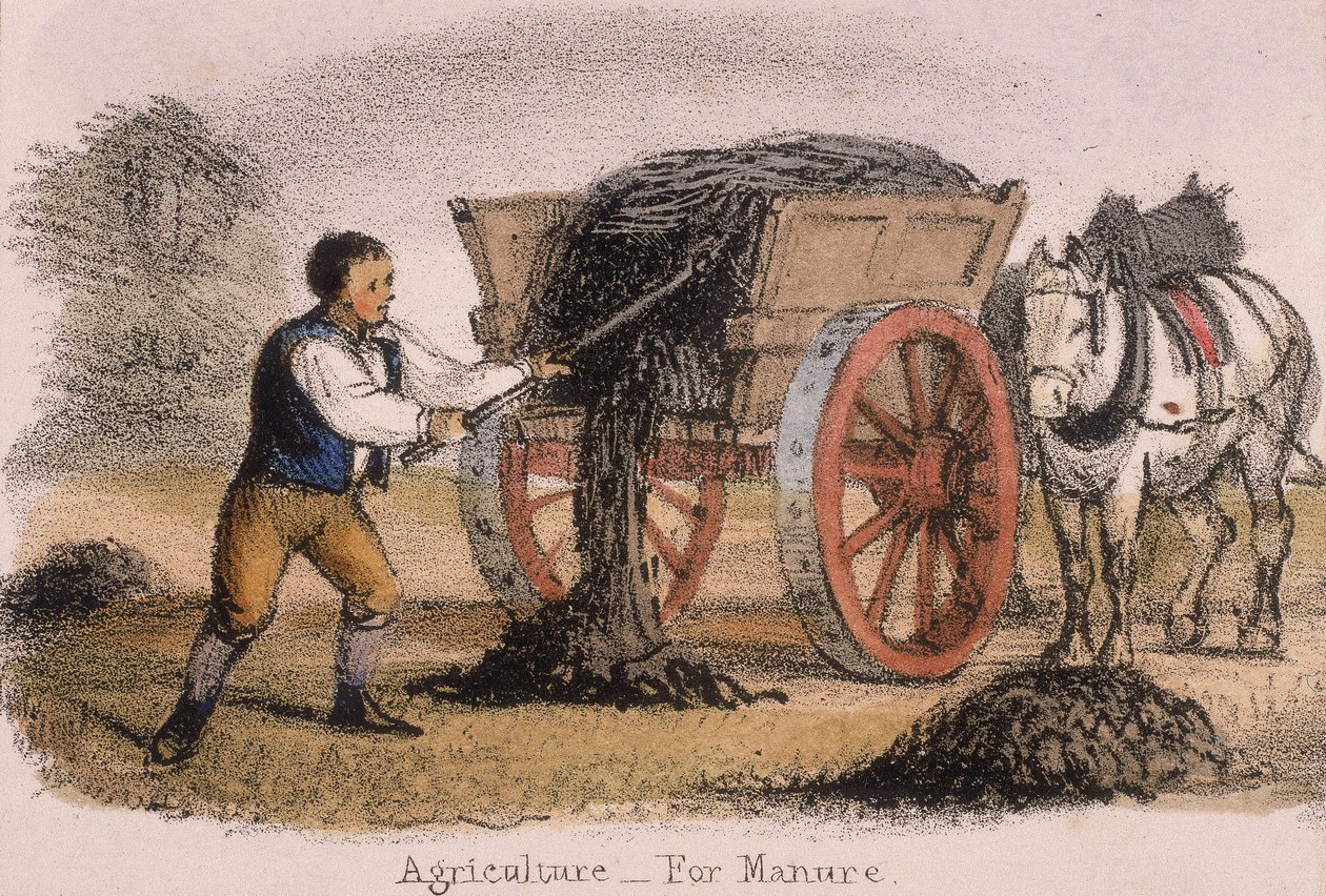Landbouw, voor Mest, c1845 door Benjamin Waterhouse Hawkins