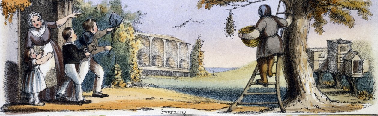 Zwermen, uit 
