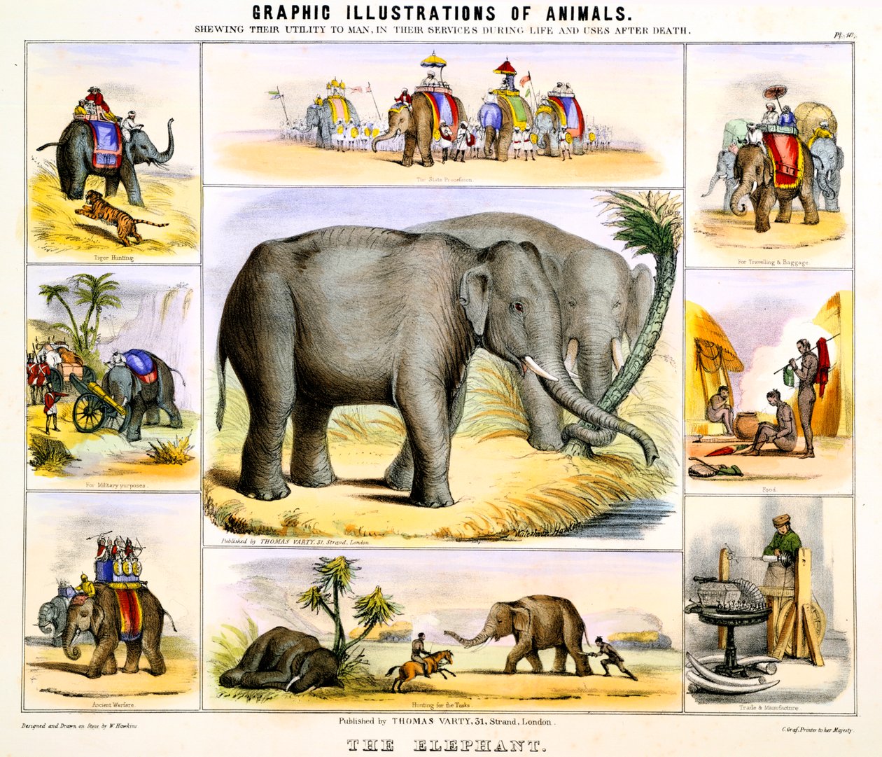 De Olifant, ca. 1850 door Benjamin Waterhouse Hawkins