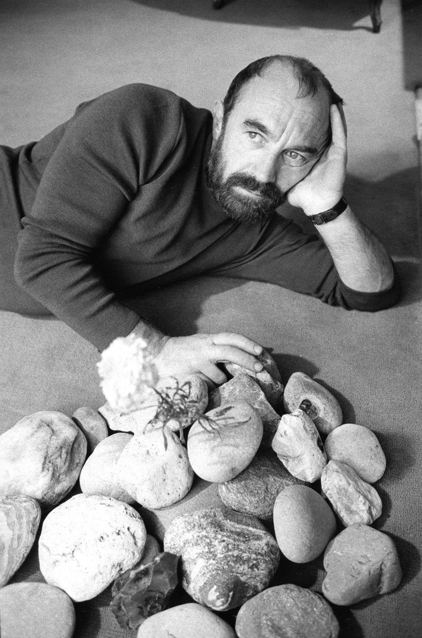 Bernard PARMEGIANI door Bernard Perrine