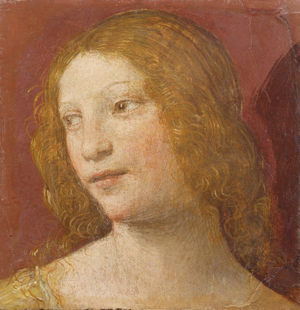 Hoofd van een jonge vrouw door Bernardino Luini
