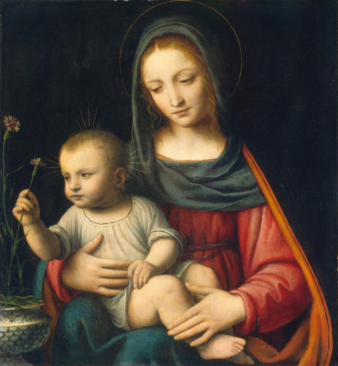 De Madonna van de Anjer door Bernardino Luini