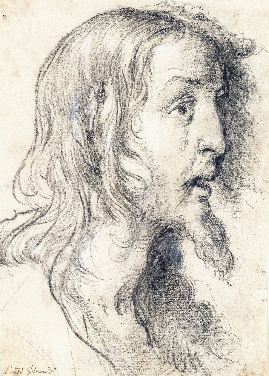 Het hoofd van Christus in profiel naar rechts door Bernardo Strozzi