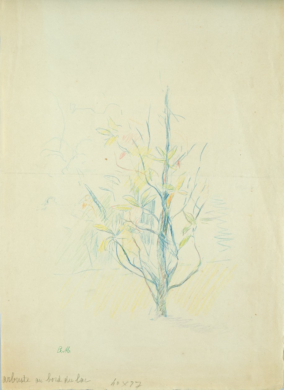 Struiken bij het meer, 1893 door Berthe Morisot