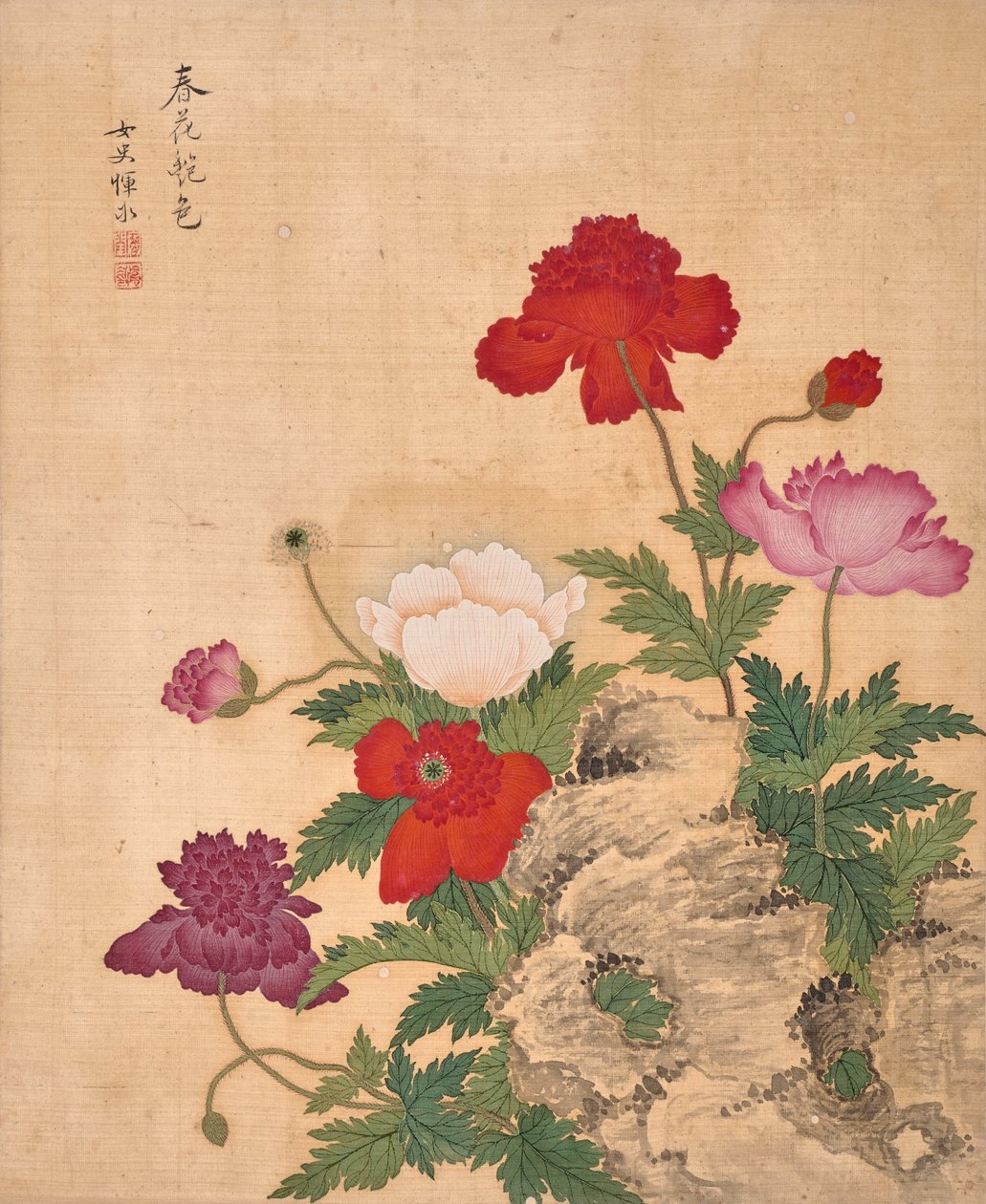 Bloemenalbum (inkt en kleur op zijde) door Bing Yun