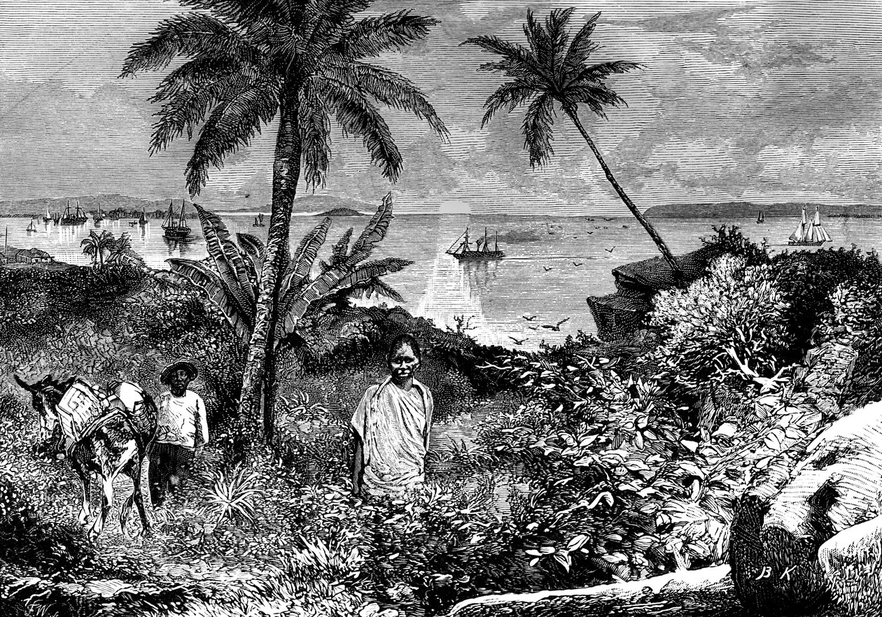De Baai van Panama door Bohuslav Kroupa