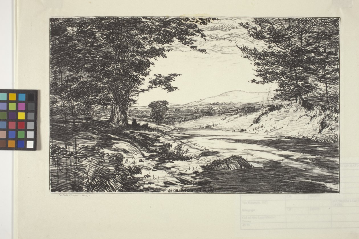 De berg door Bolton Coit Brown