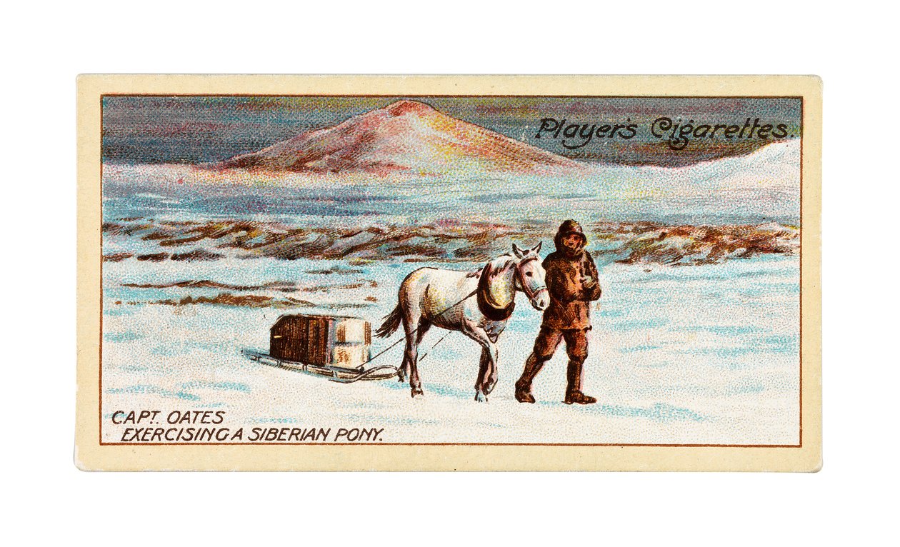 Kapitein L.E.G. Oates oefent een Siberische pony op het zee-ijs bij Kaap Evans door British School