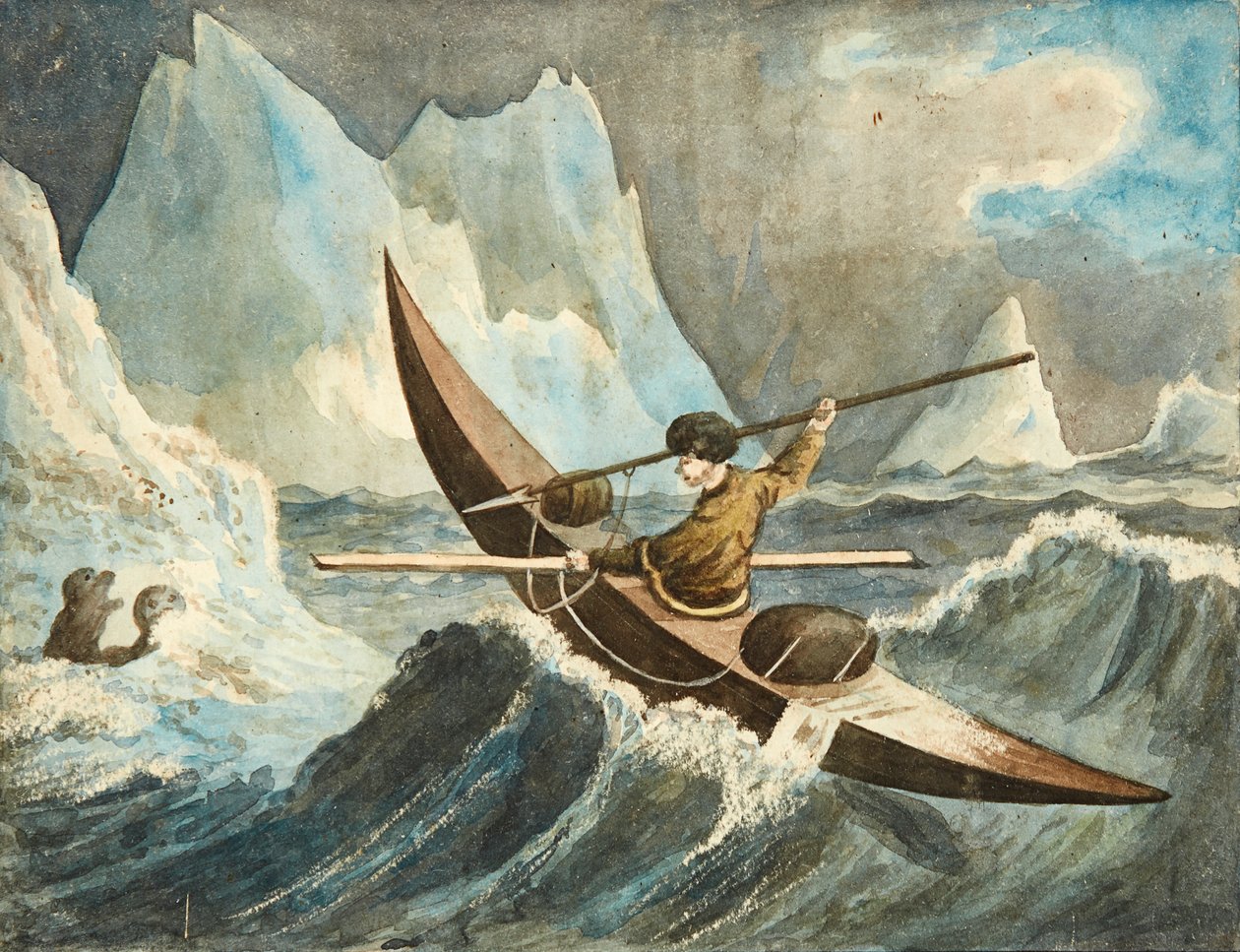 De zeehondenjacht door British School