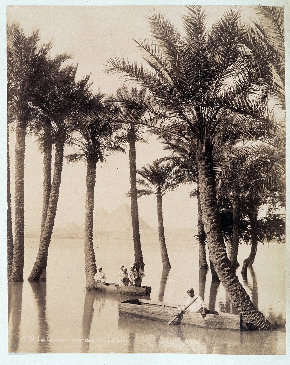 Een palmbos aan de voet van de piramides van Egypte - foto door de gebroeders Zangali, eind 19e eeuw door Brothers Zangaki