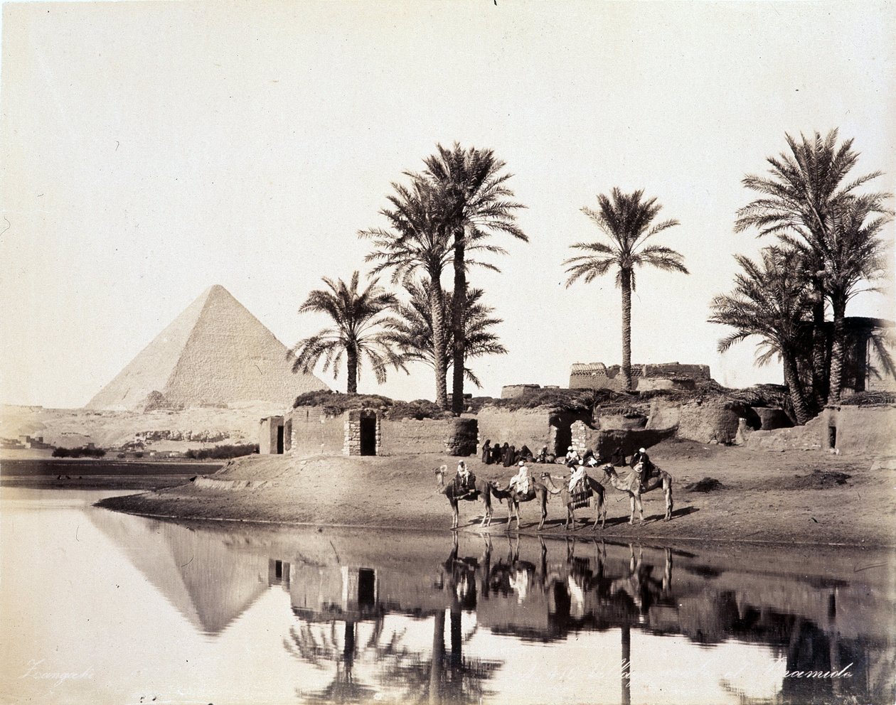 Kamelen drinken aan de voet van de piramides van Egypte - foto door de Zangali broers, eind 19e eeuw door Brothers Zangaki
