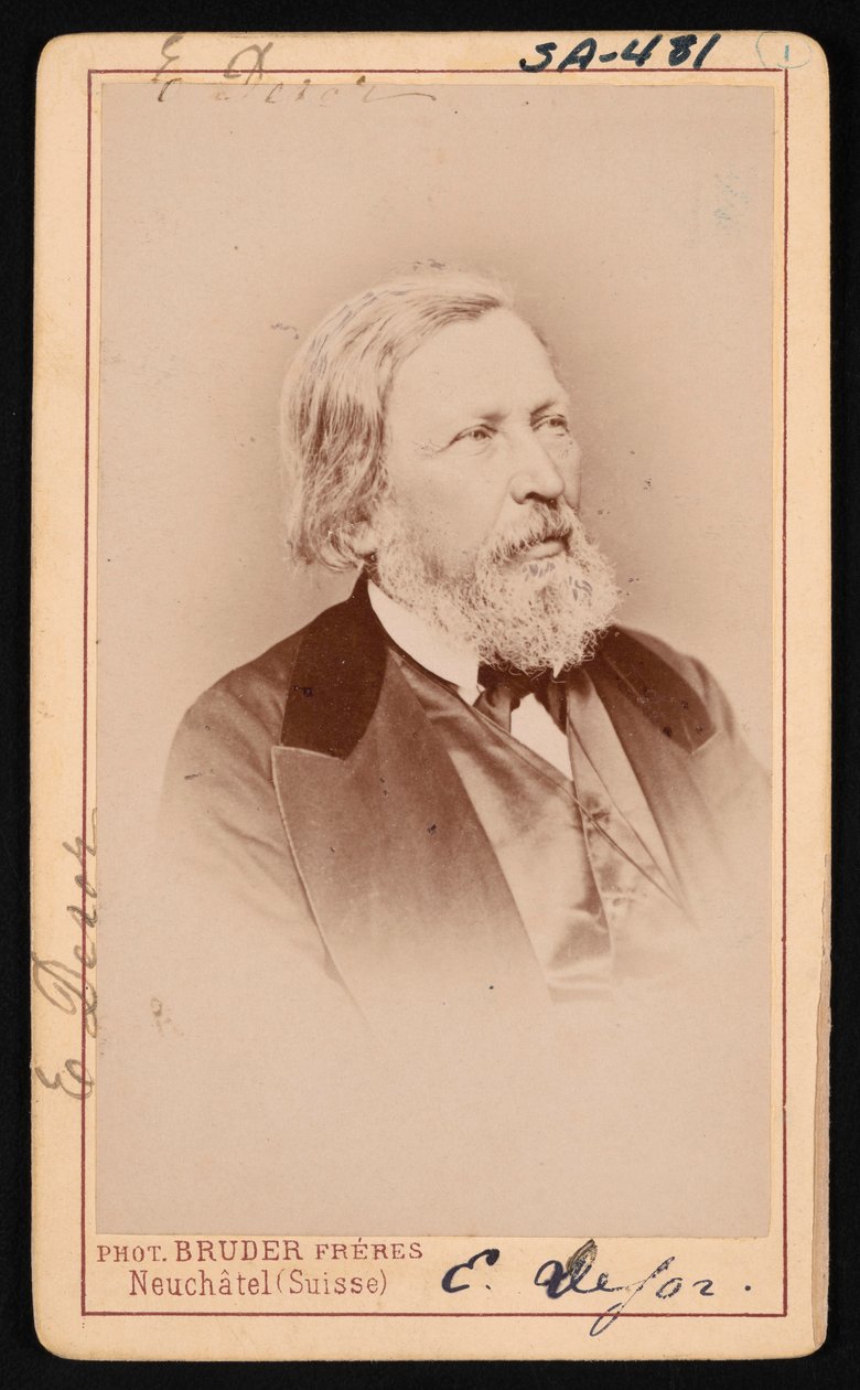 Portret van Pierre Jean Edouard Desor door Bruder Freres