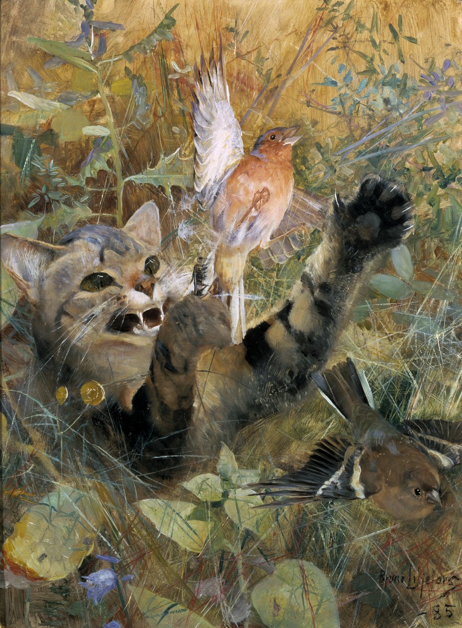 Een kat en een vink, 1885 door Bruno Andreas Liljefors
