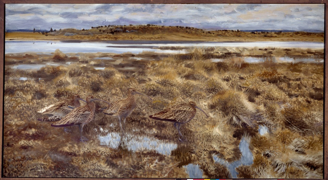 Wulpen in de moerassen door Bruno Andreas Liljefors