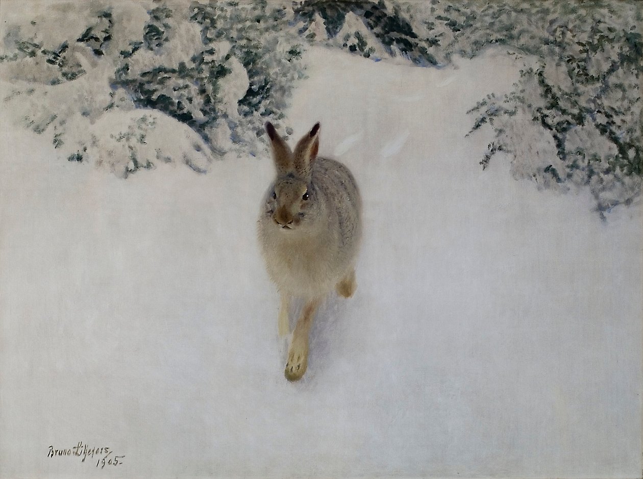 Haas in de Winter door Bruno Andreas Liljefors