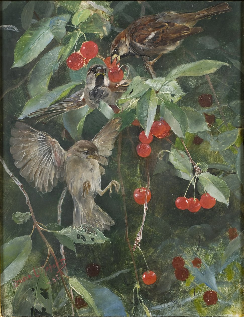 Mussen in een Kersenboom door Bruno Andreas Liljefors