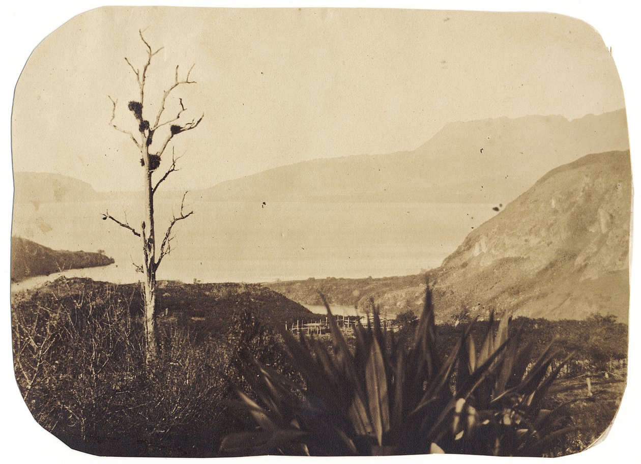 Meer en Mount Tarawera vanaf Te Wairoa, 1860 door Bruno Hamel