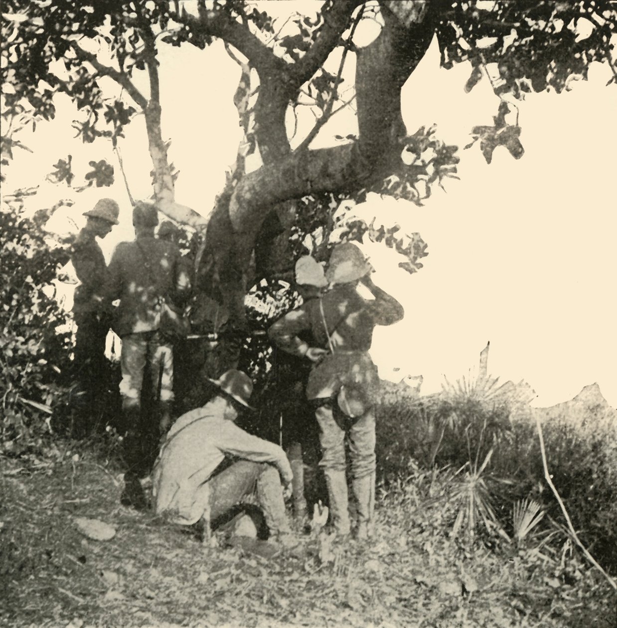 Boom van waaruit Kapitein Paget...Zag...San Juan Slag, Spaans-Amerikaanse Oorlog, juni 1898, 1899 door Burr McIntosh