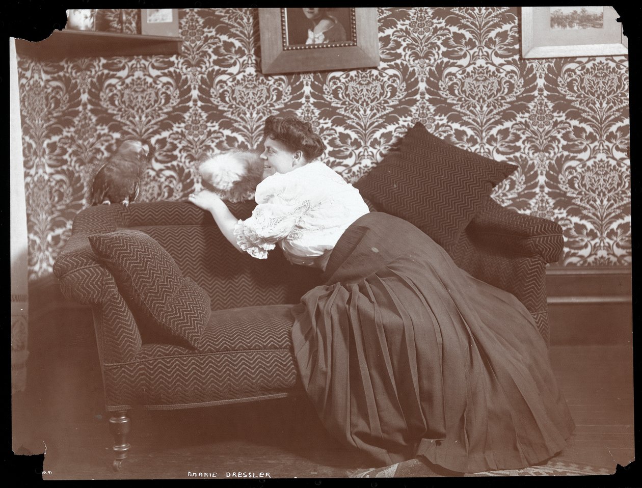 Marie Dressler thuis met hond en papegaai, 1905 door Byron Company