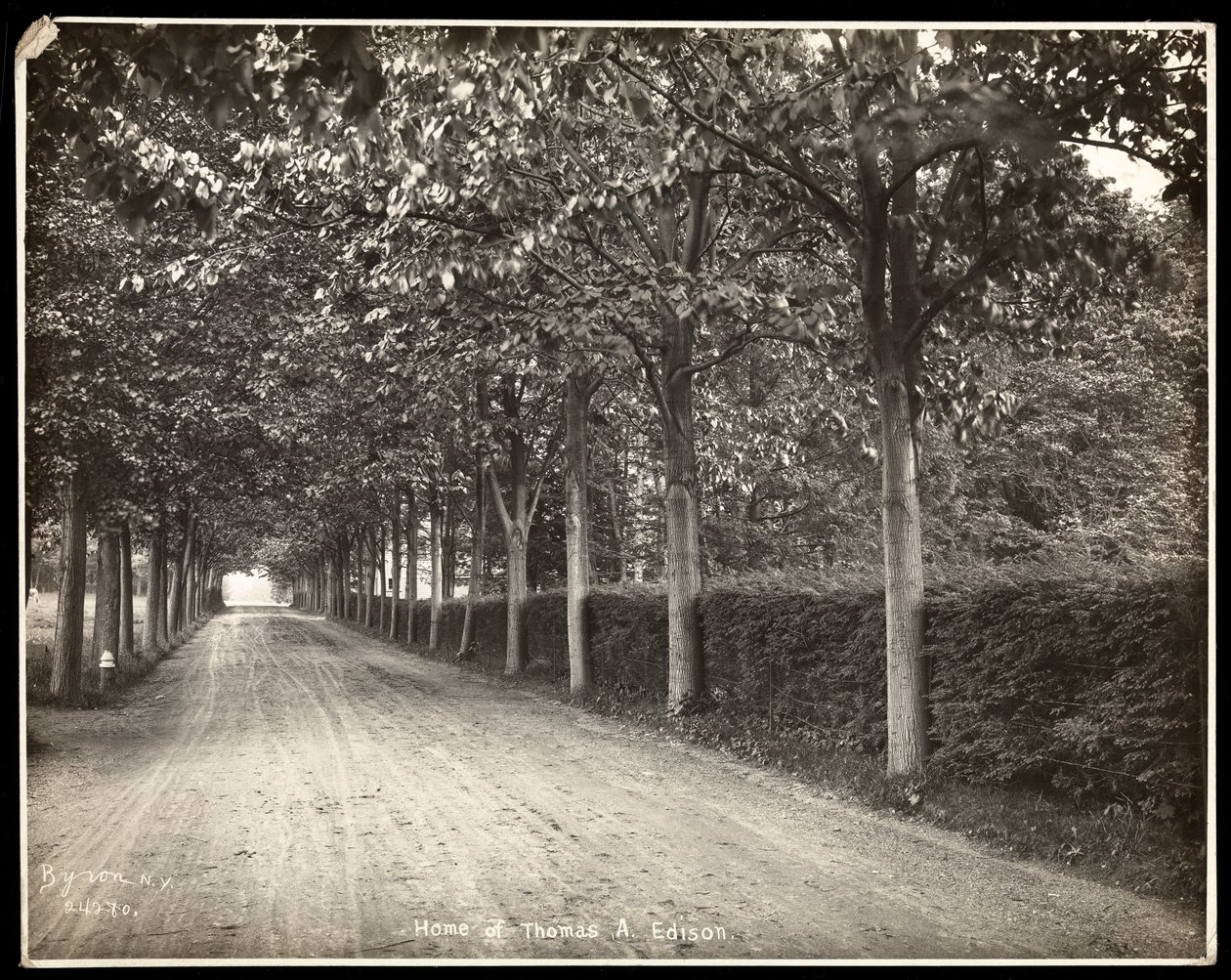 Met bomen omzoomde oprijlaan bij het huis van Thomas Edison, 1907 door Byron Company