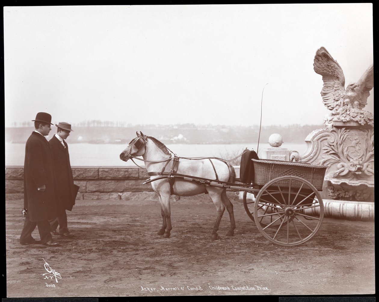 Twee mannen, pony en kar, New York, 1910 of 1911 (zilveren gelatin afdruk) door Byron Company
