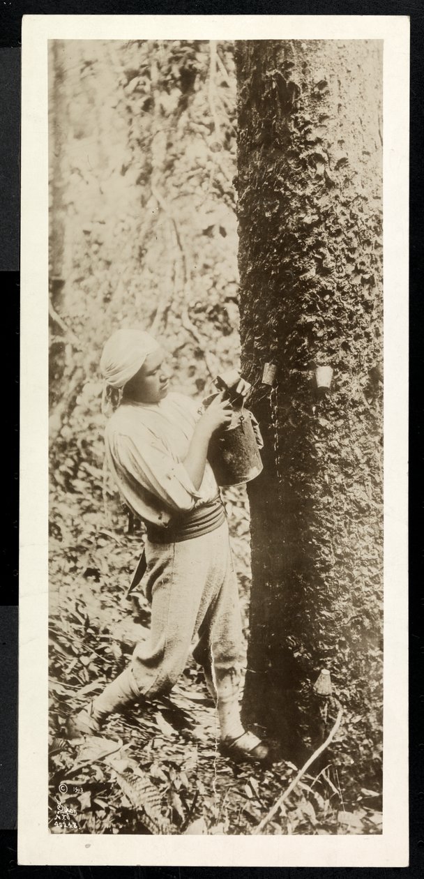 Uitzicht op een man die rubber verzamelt van een rubberboom, vermoedelijk in Panama tijdens de aanleg van het kanaal, 1913 door Byron Company