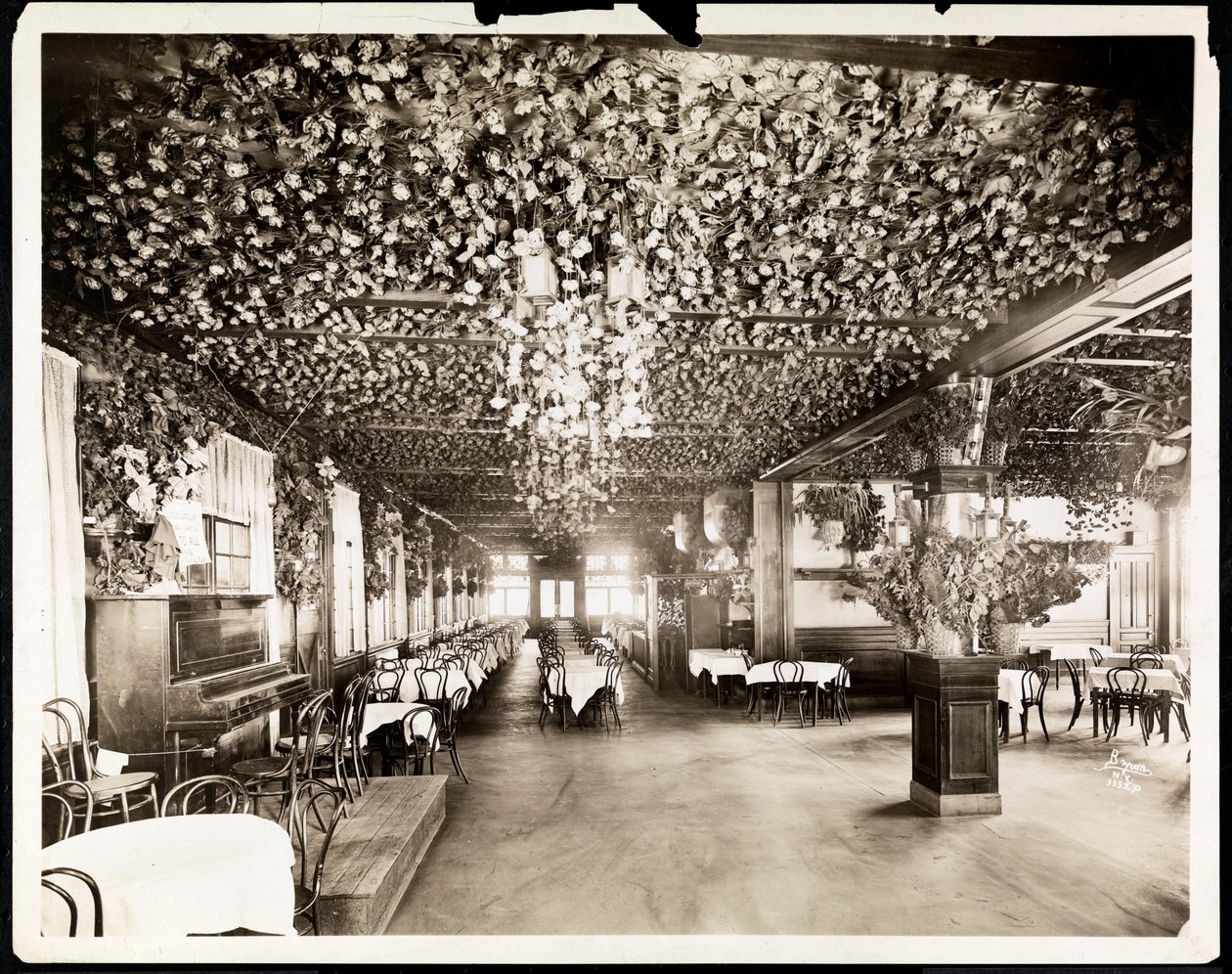 De eetkamer in het Hotel Dolphin, New York, 1915 door Byron Company