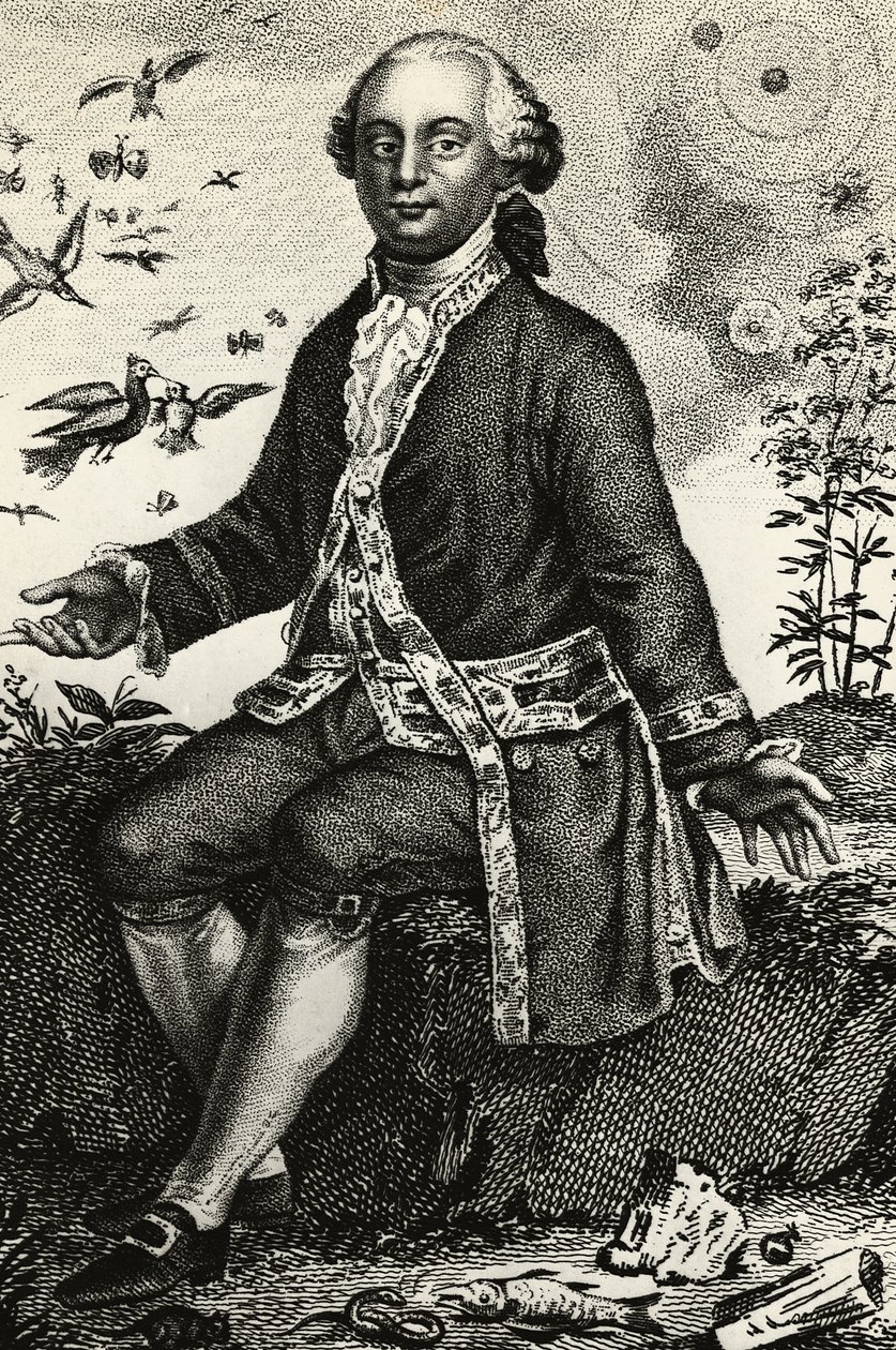 Portret van Georges-Louis Leclerc de Buffon (1707-1788), Franse natuurkundige en wiskundige, gravure door J.B. and Brown J. Rowbotham