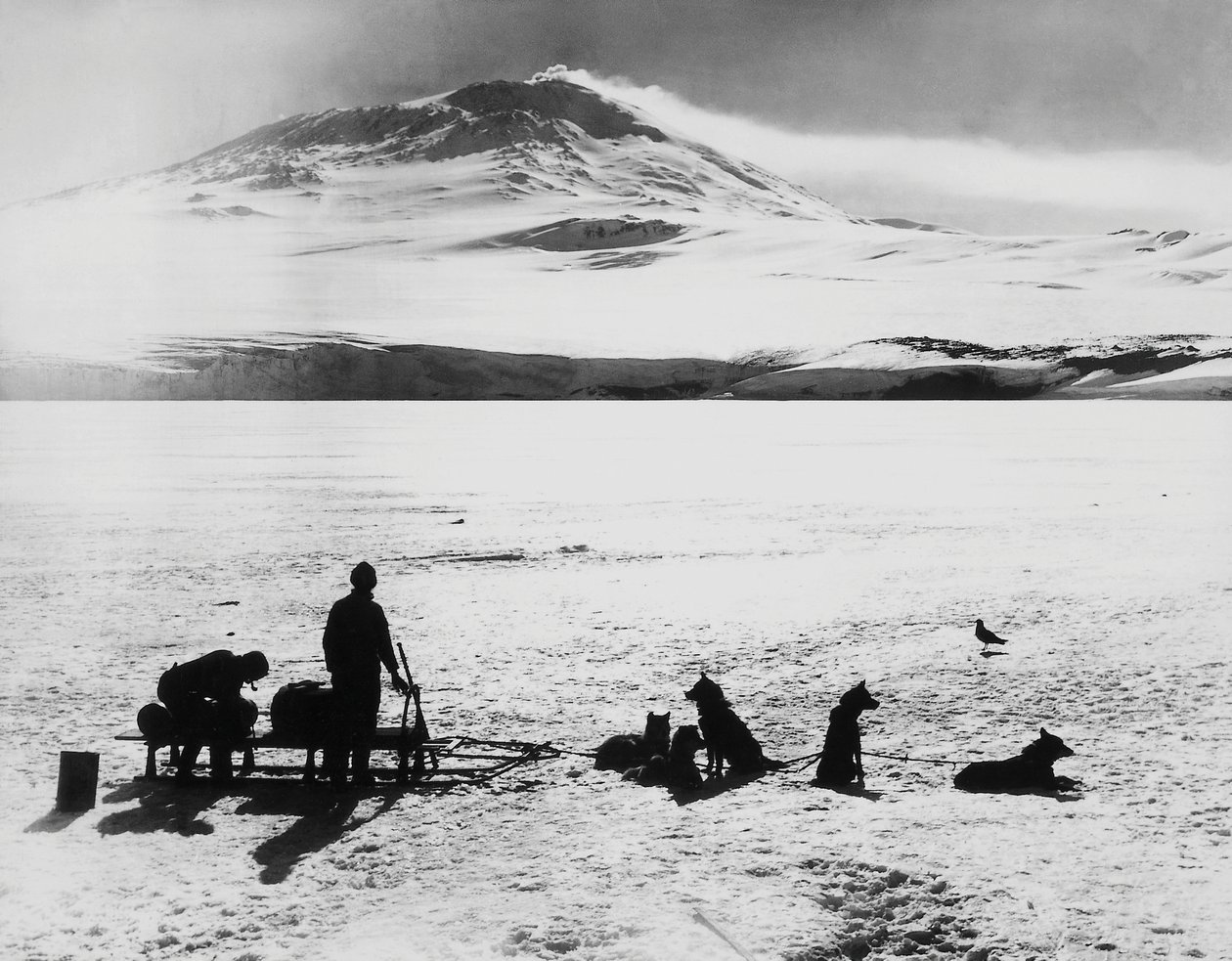 Zuidpool-expeditie door Robert Falcon Scott (1868-1912), ontdekkingsreizigers voor de Erebus-vulkaan op Ross-eiland, 15 januari door J.B. and Brown J. Rowbotham