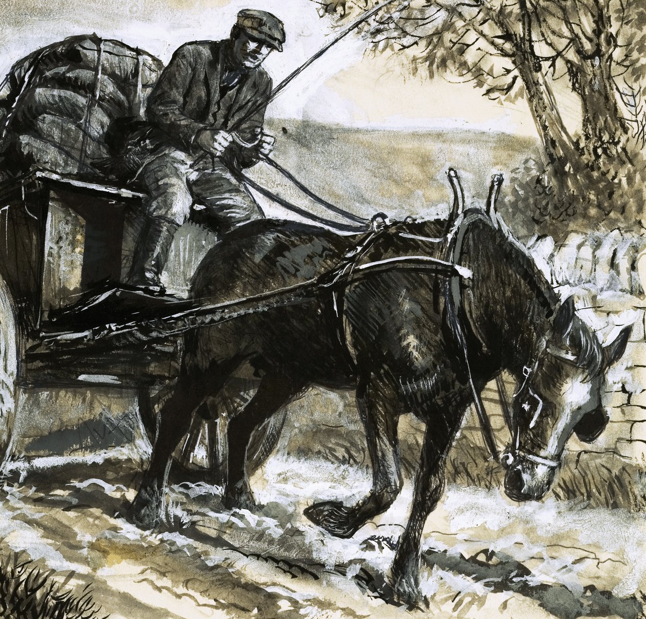 Paarden waren ondervoed en overwerkt door C.L. Doughty