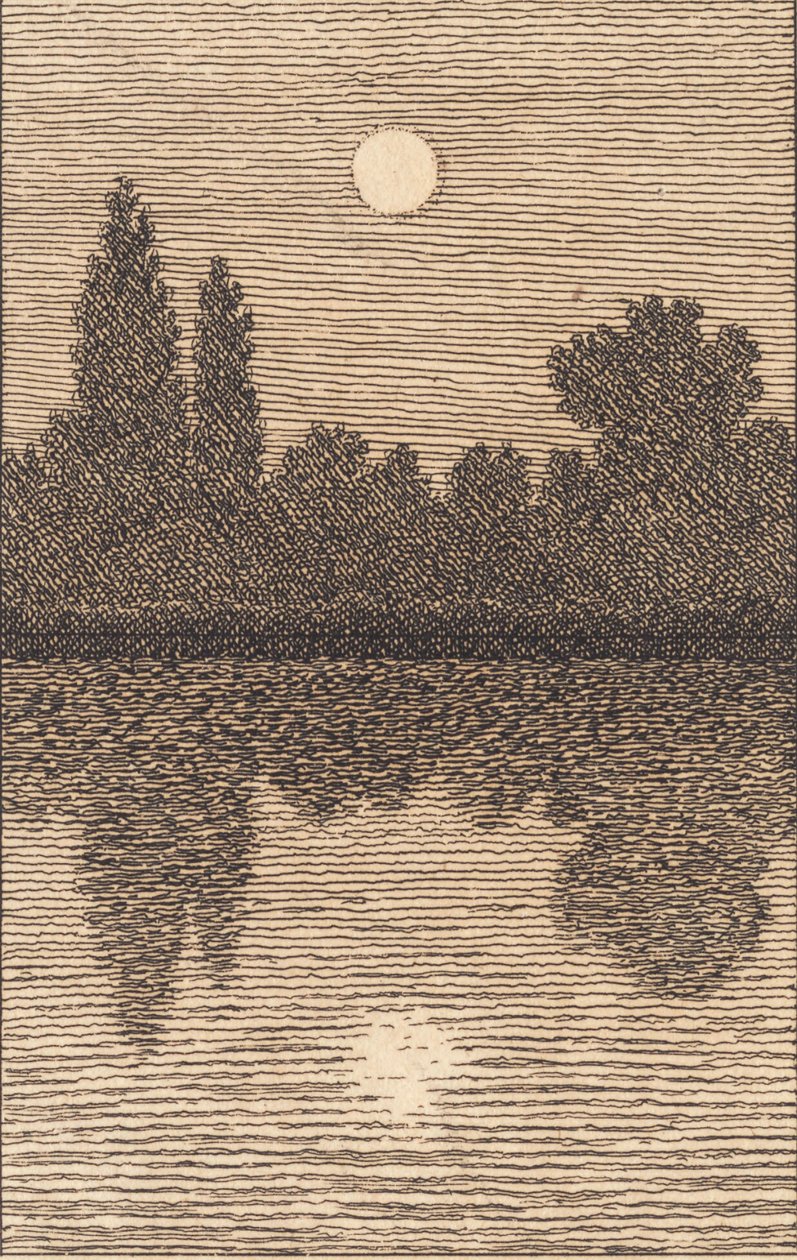 Maanlicht over een meer. Illustratie voor 