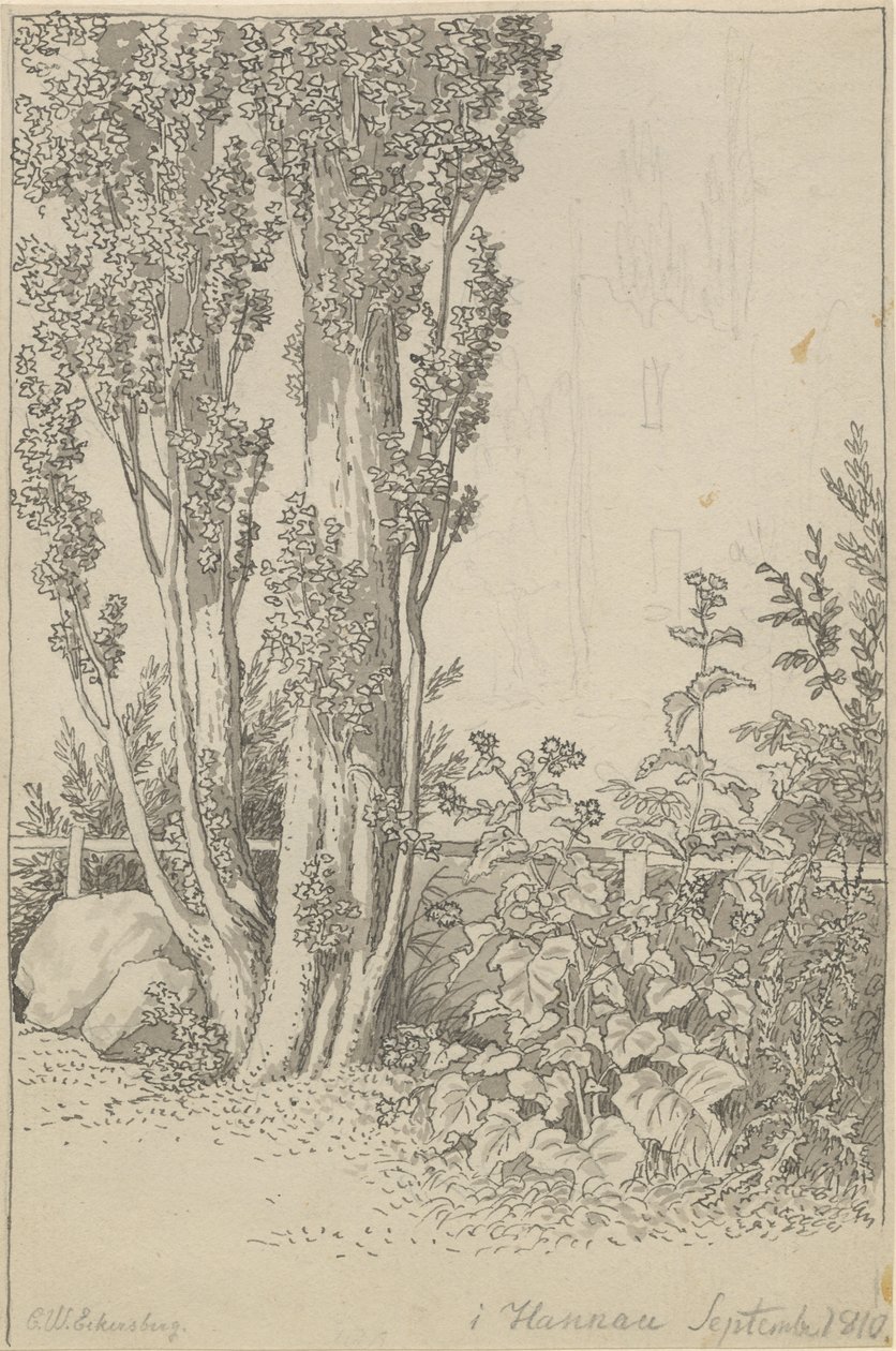 Populieren en wilde planten bij Hannau door Christoffer Wilhelm Eckersberg