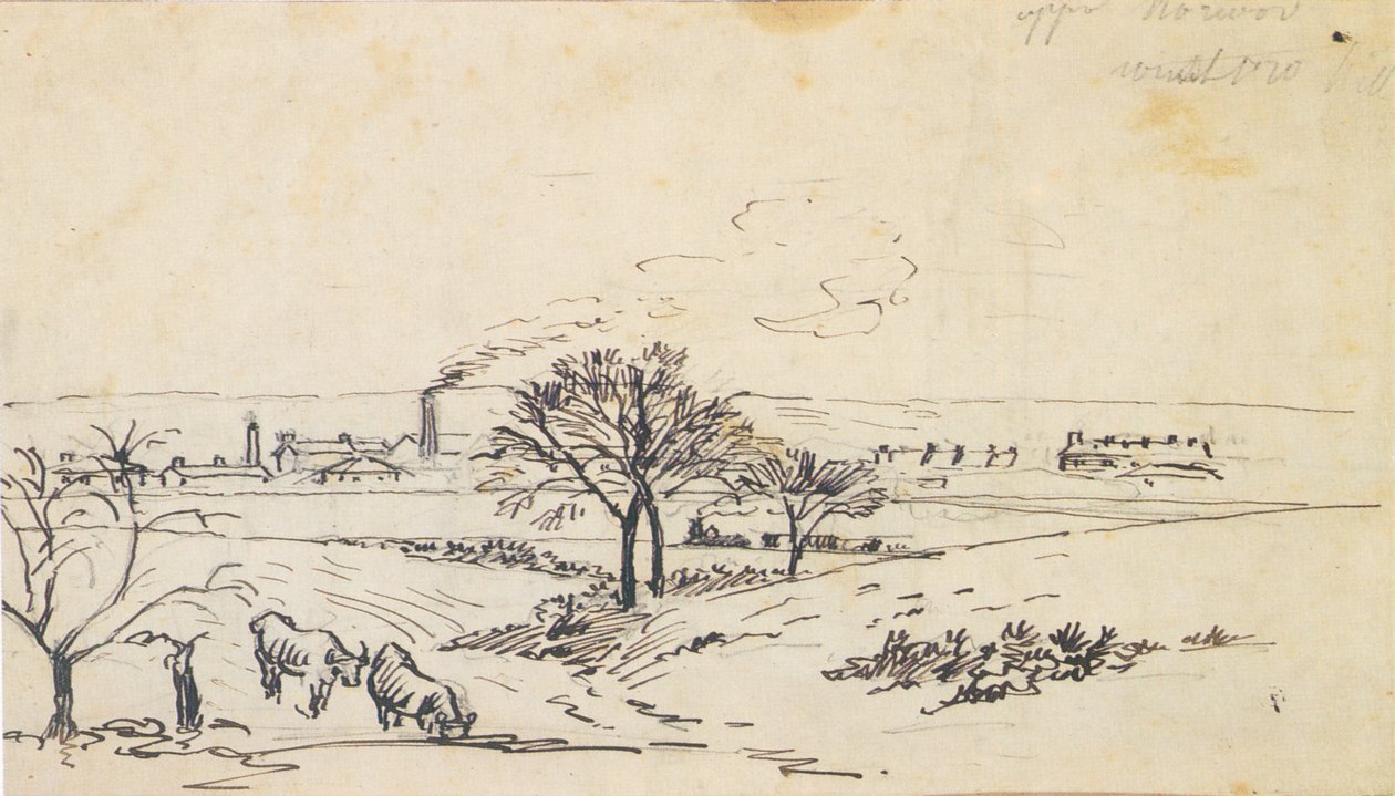 Uitzicht vanaf Upper Norwood door Camille Jacob Pissarro