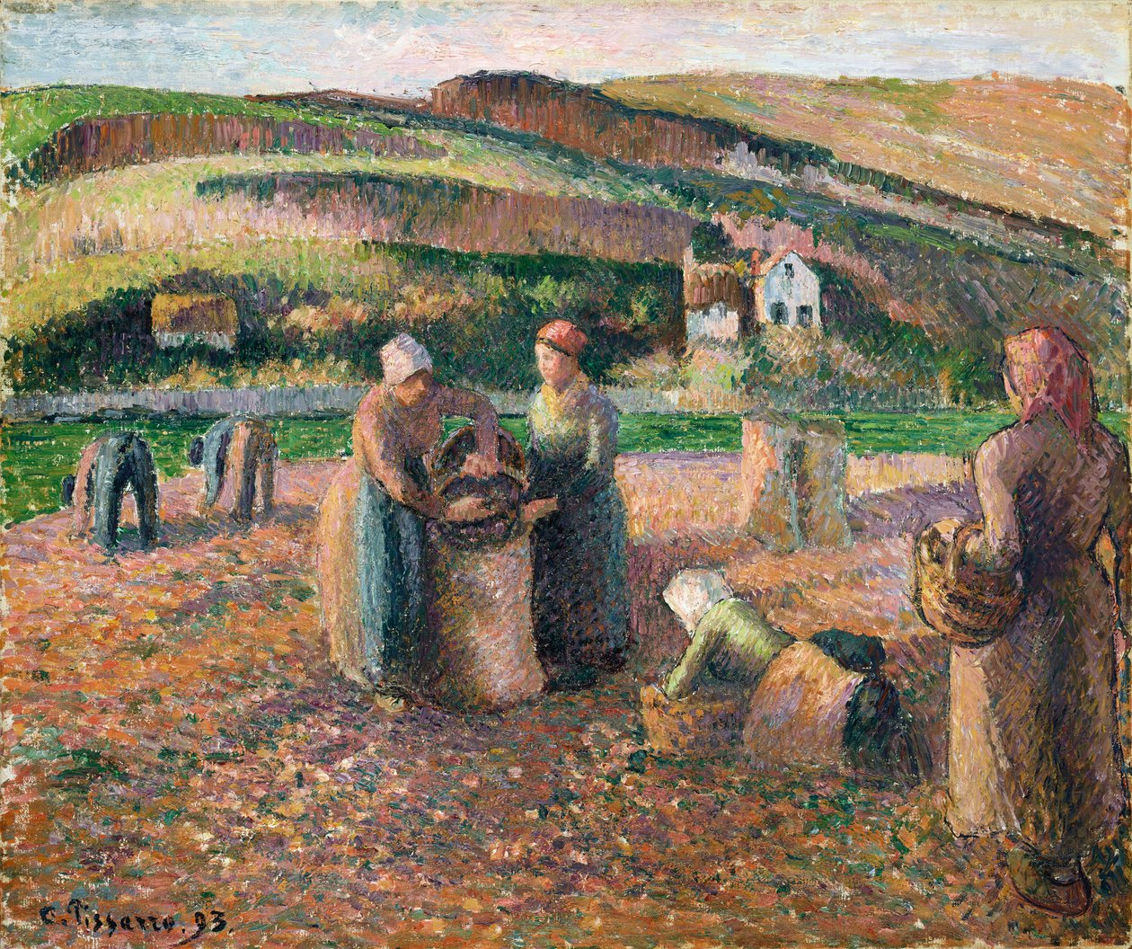 Aardappels plukken door Camille Jacob Pissarro