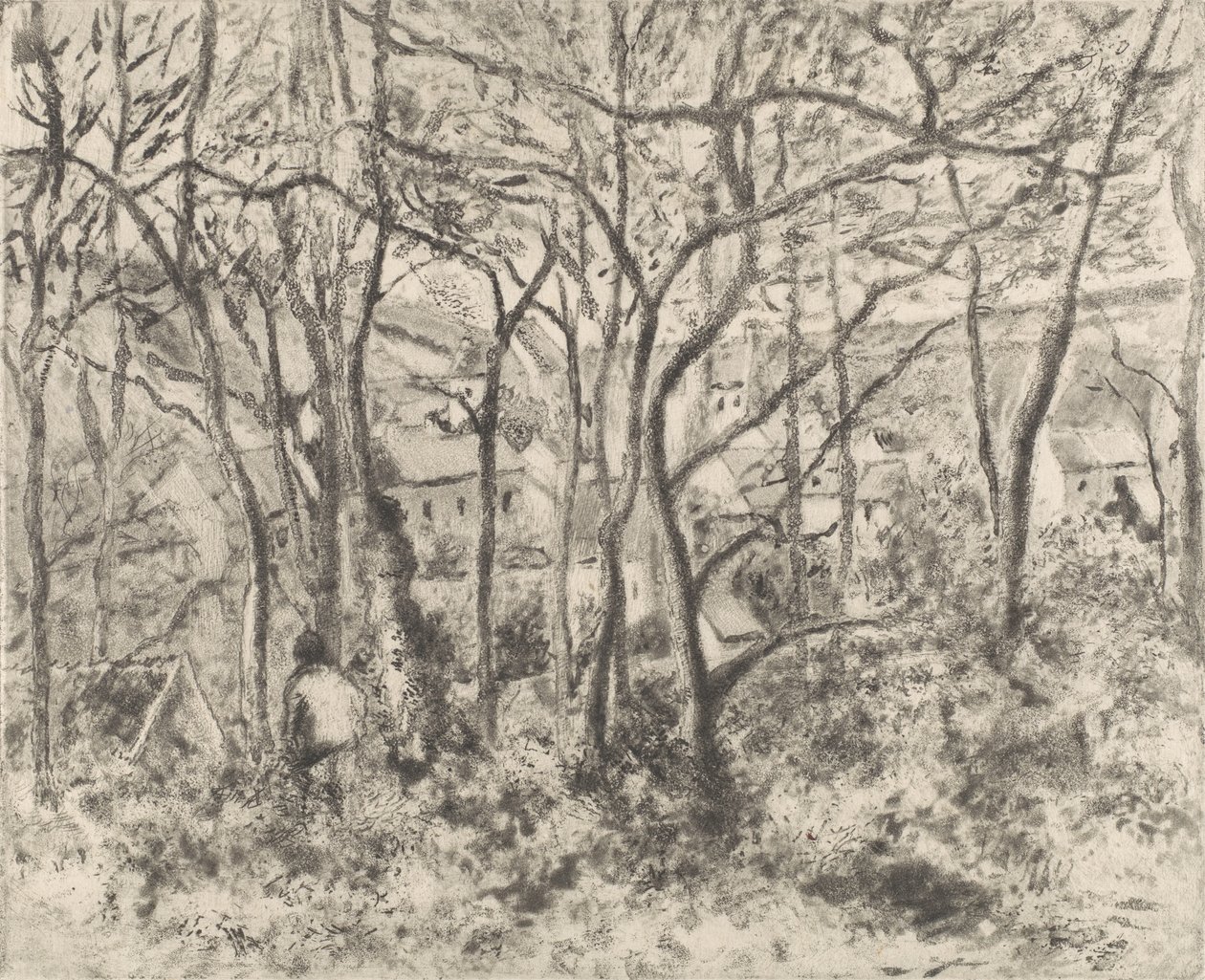 De bossen bij L
